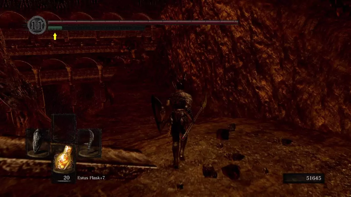 The Chosen Undead in the Demon Ruins.