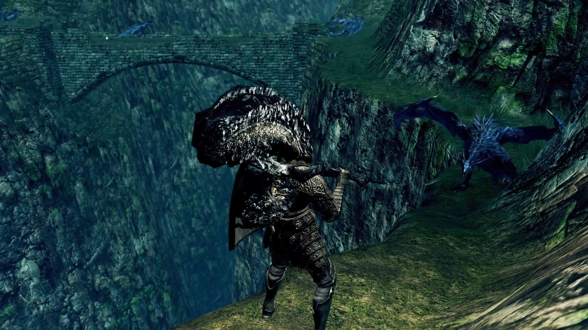 The Chosen Undead standing before drakes at the Valley of the Drakes.