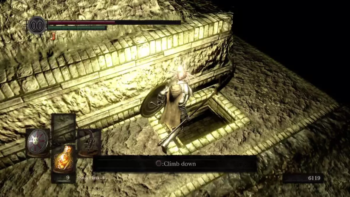 The Chosen Undead standing before a hole in the ground in the Tomb of the Giants.