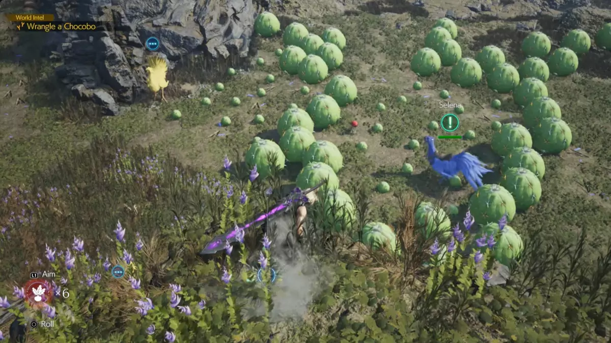 Cloud catching the Nibelheim Chocobo.