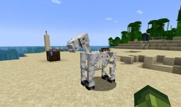 How to Get a Skeleton Horse in Minecraft