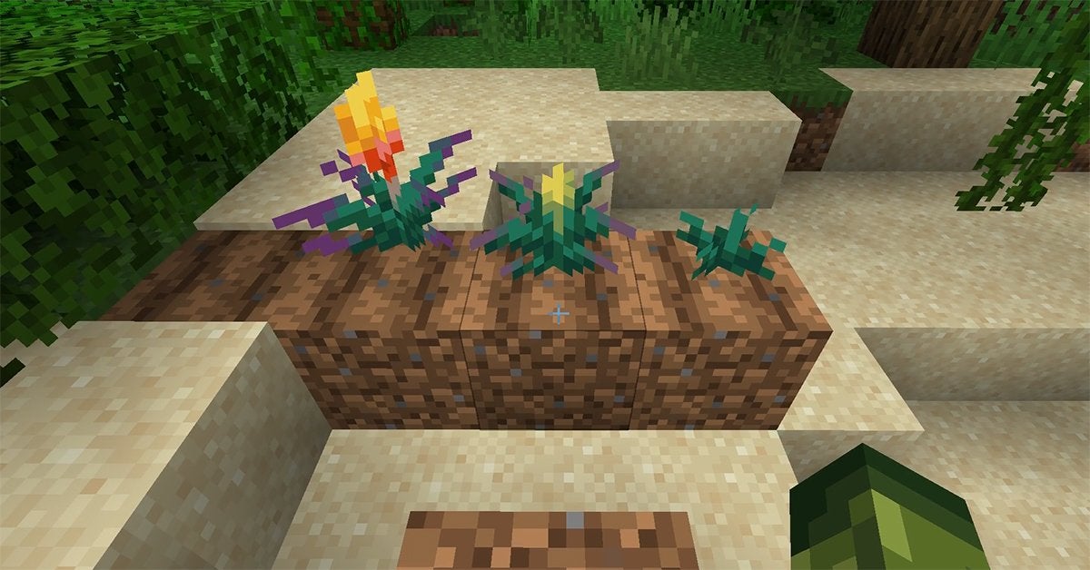 The three growth stages of the Torchflower in Minecraft.