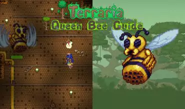 Terraria: How to Defeat the Queen Bee