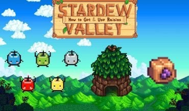 Stardew Valley: How to Get and Use Raisins