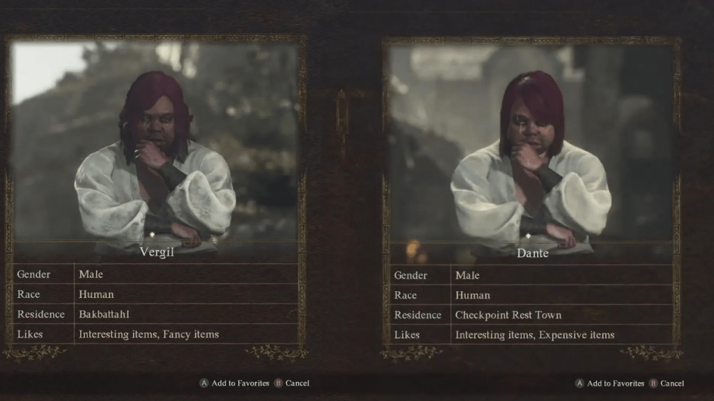 Vergil and Dante, two identical twin NPCs in Dragon's Dogma 2. 