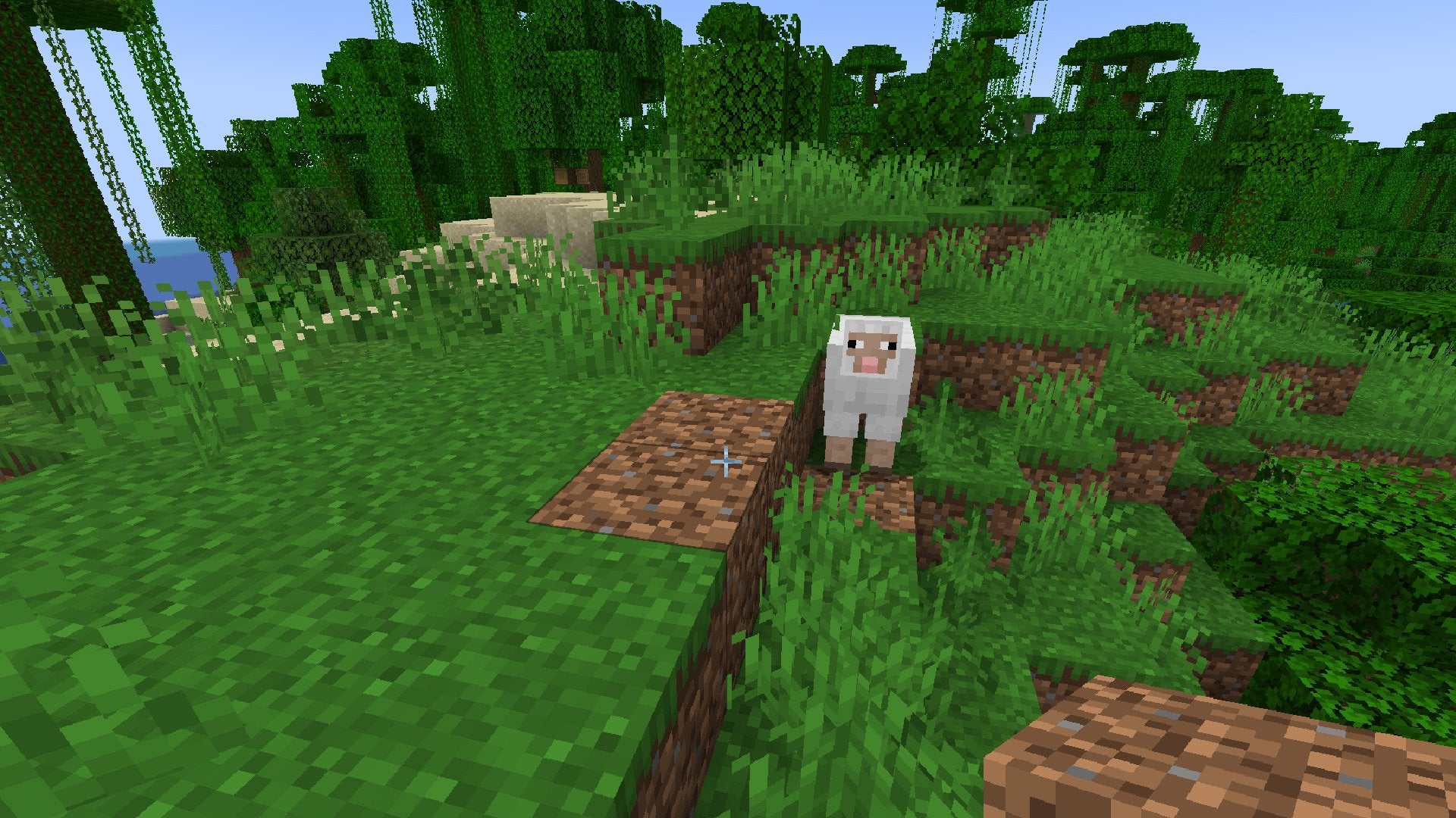 A white Sheep near Dirt and Grass blocks.