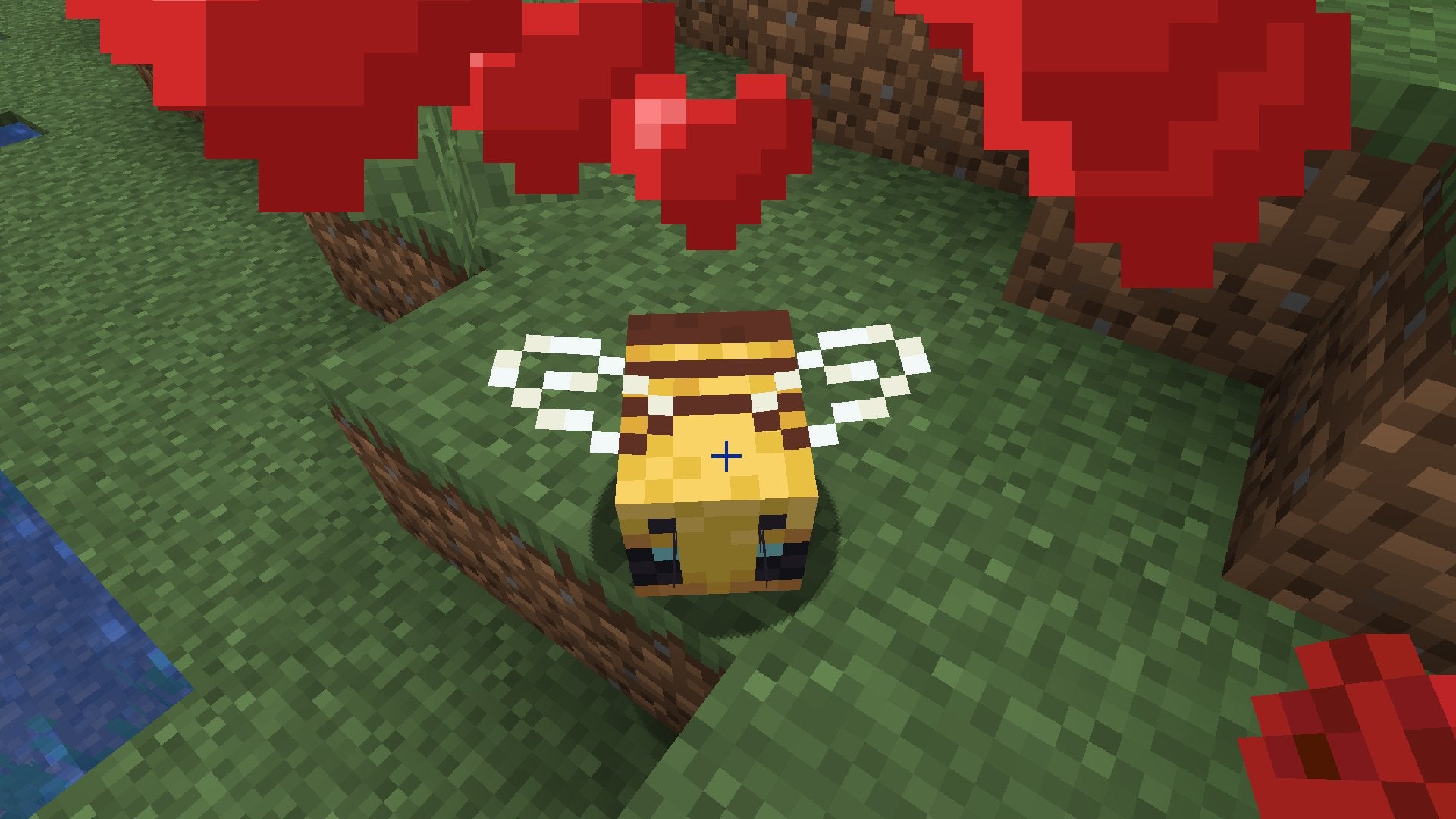 A player feeding a red flower to a Bee in Minecraft.