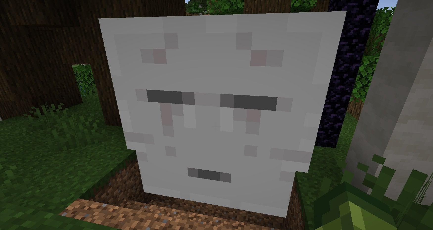 A Ghast trapped in the Overworld.