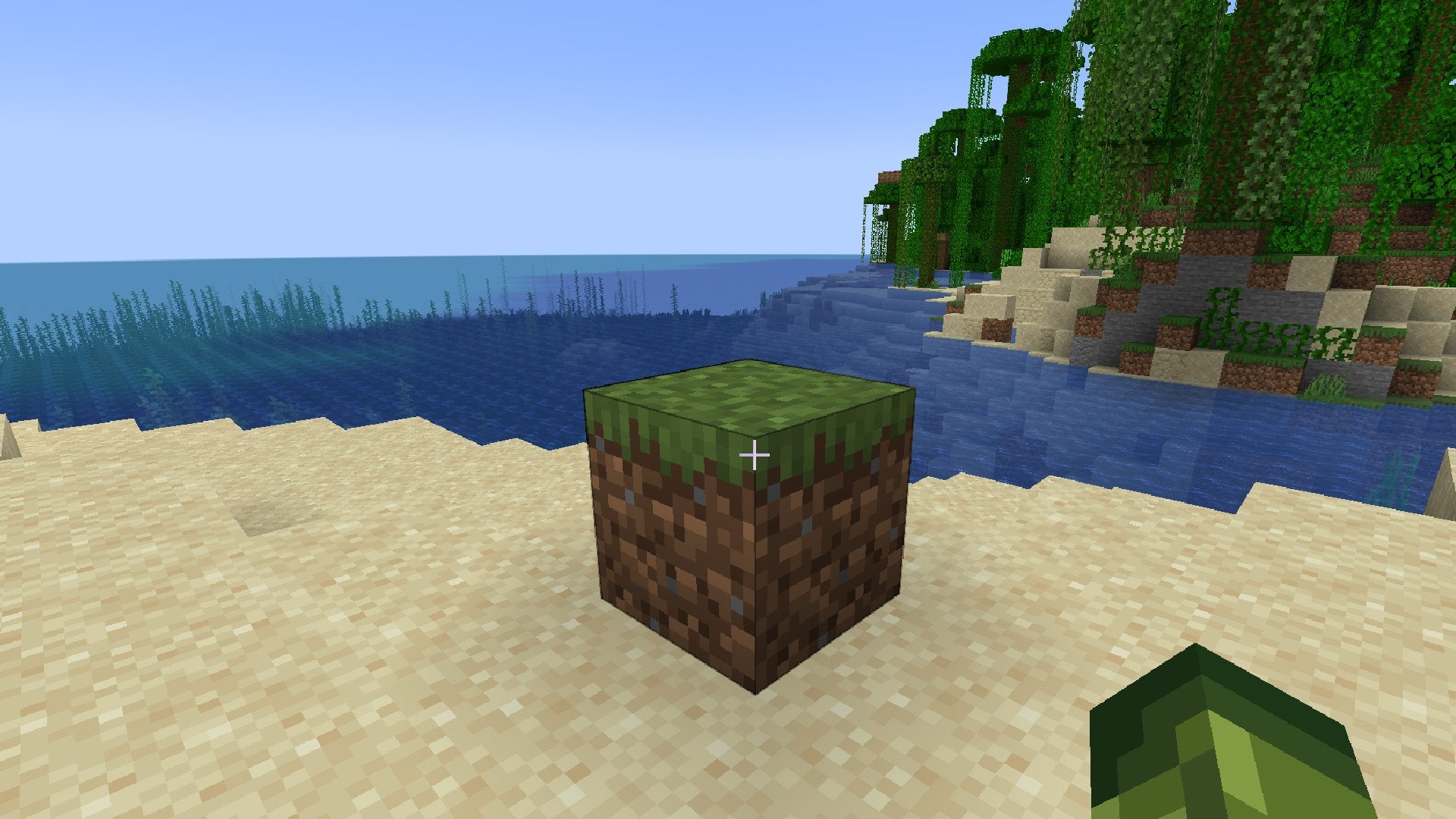 A Grass block on a beach in Minecraft.